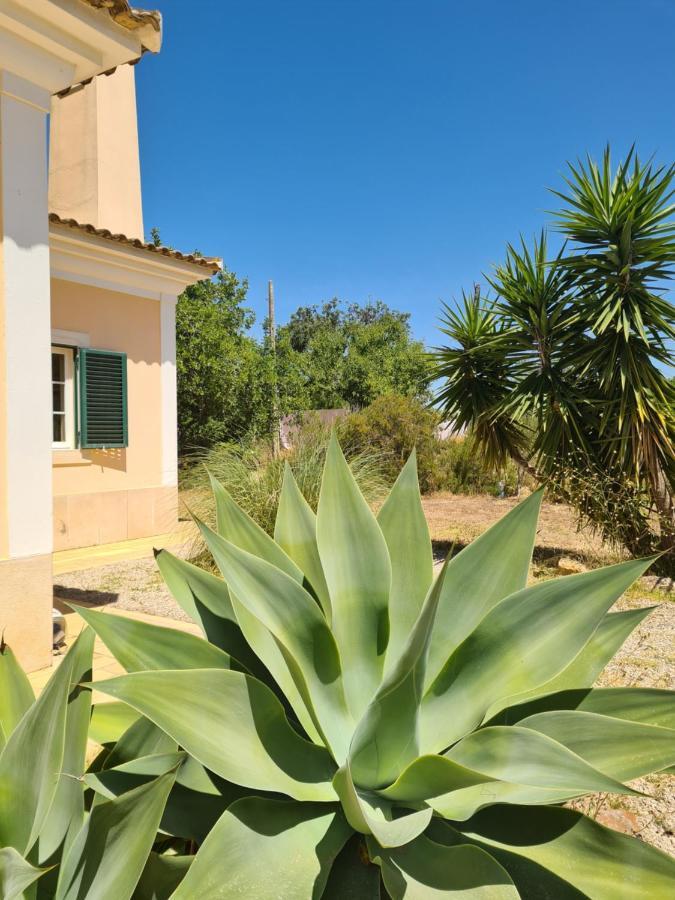 Casa Dos Ventos Bed & Breakfast Olhao Bagian luar foto